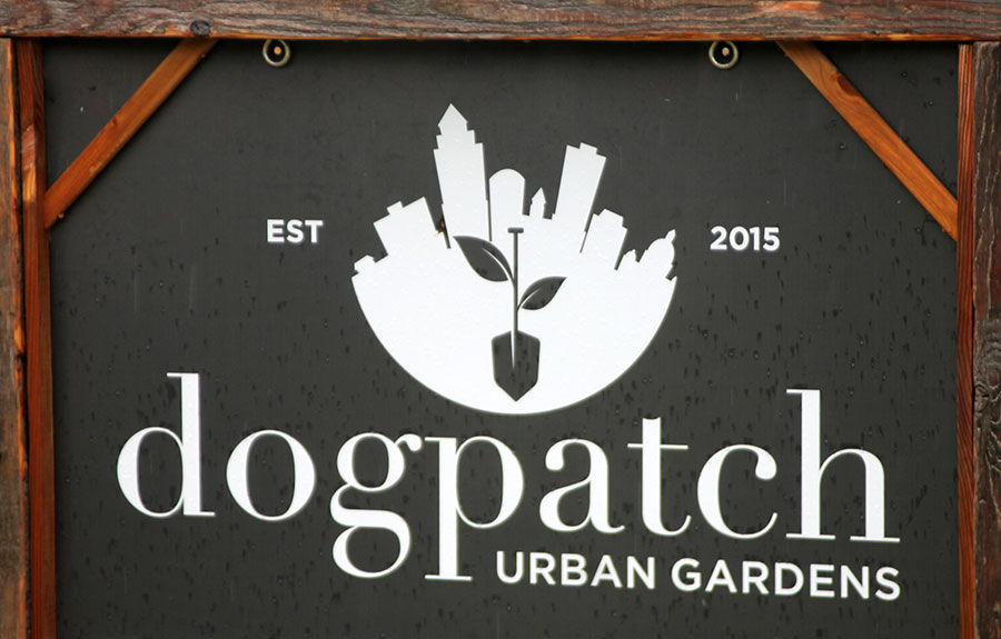 Dogpatch